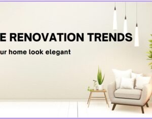 Vistaar Designs: Home Renovation Trends 2024